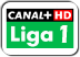 Soccer TV & Canal+